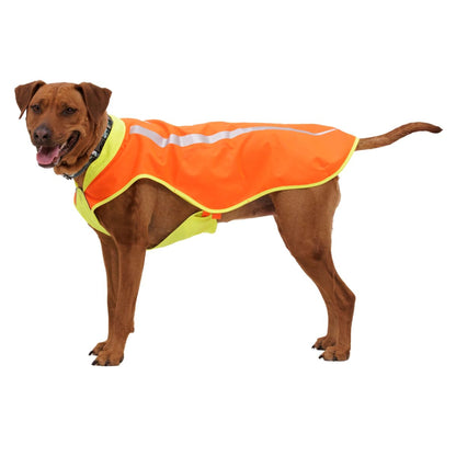 Ruffwear Lumenglow High-Vis Vest – Hochsichtbarkeits-Hundeweste mit Reflektoren für sichere Abendspaziergänge &amp; Outdoor-Abenteuer bei Dämmerung, Nebel und Dunkelheit