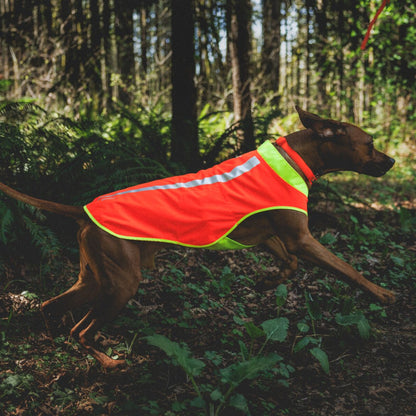 Ruffwear Lumenglow High-Vis Vest – Hochsichtbarkeits-Hundeweste mit Reflektoren für sichere Abendspaziergänge &amp; Outdoor-Abenteuer bei Dämmerung, Nebel und Dunkelheit