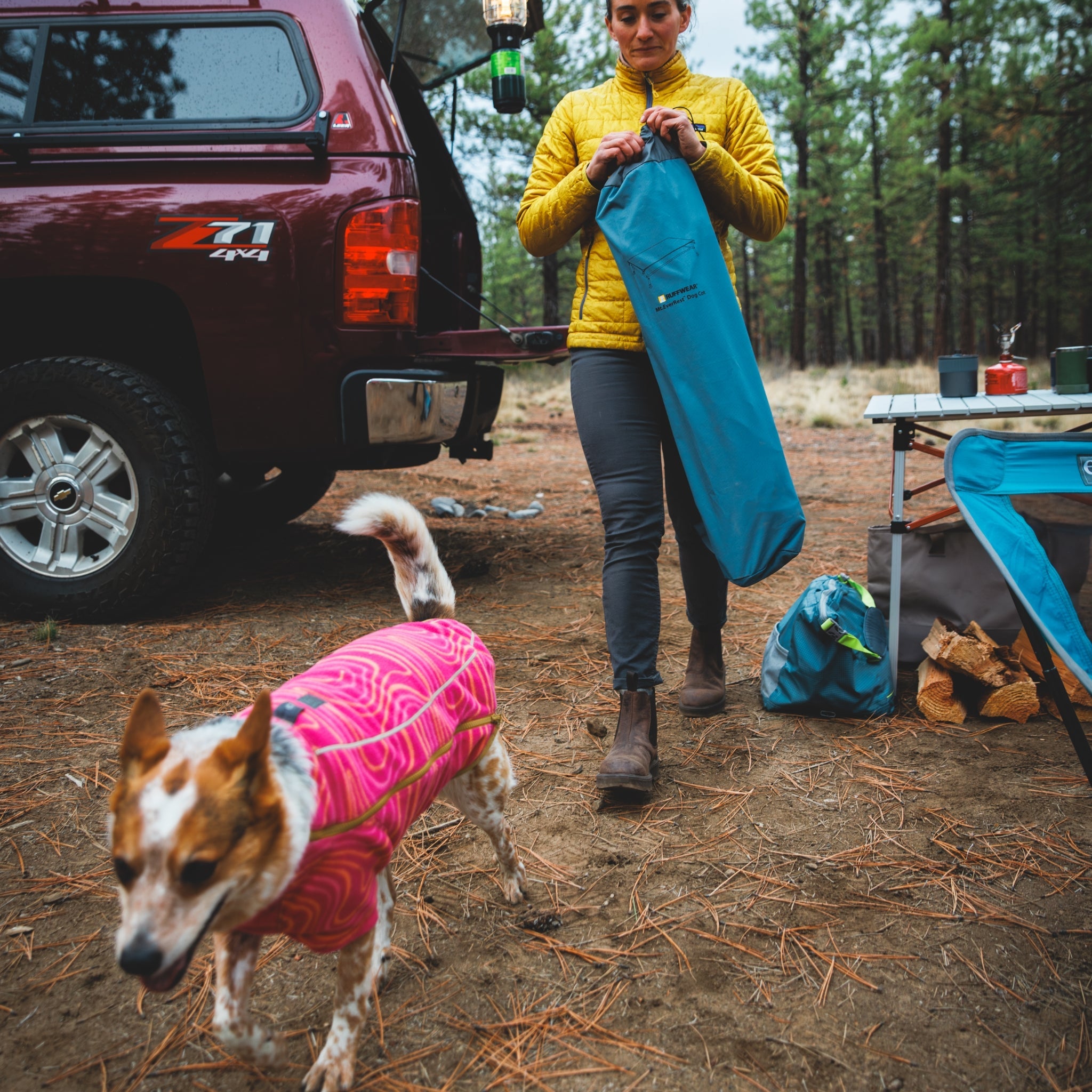 Ruffwear Mt. EverRest Hundebett – Erhöhtes, tragbares Premium - Hundebett für Zuhause, Camping und unterwegs - Woofshack