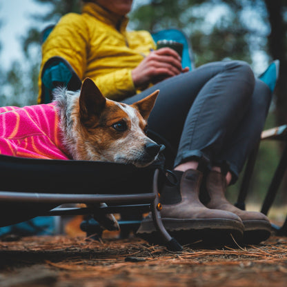 Ruffwear Mt. EverRest Hundebett – Erhöhtes, tragbares Premium - Hundebett für Zuhause, Camping und unterwegs - Woofshack