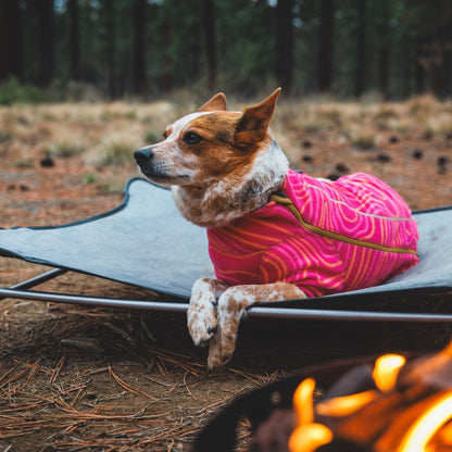 Ruffwear Mt. EverRest Hundebett – Erhöhtes, tragbares Premium - Hundebett für Zuhause, Camping und unterwegs - Woofshack