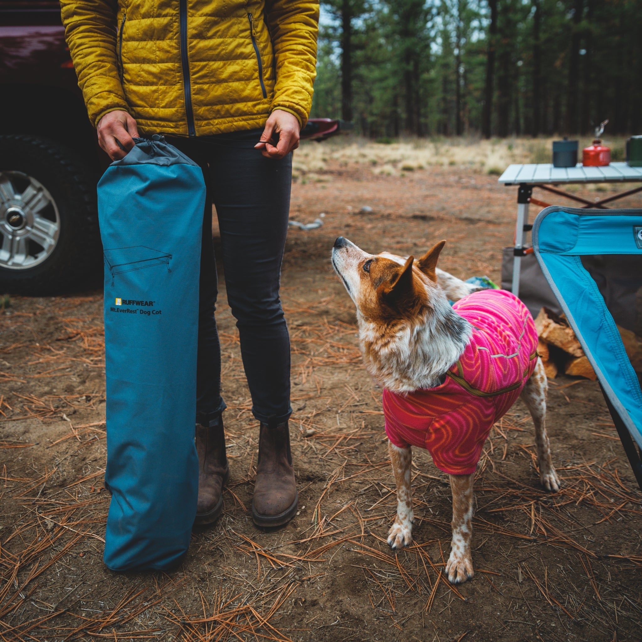 Ruffwear Mt. EverRest Hundebett – Erhöhtes, tragbares Premium - Hundebett für Zuhause, Camping und unterwegs - Woofshack