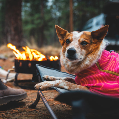 Ruffwear Mt. EverRest Hundebett – Erhöhtes, tragbares Premium - Hundebett für Zuhause, Camping und unterwegs - Woofshack