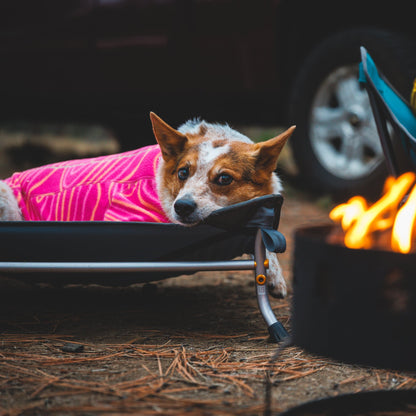 Ruffwear Mt. EverRest Hundebett – Erhöhtes, tragbares Premium - Hundebett für Zuhause, Camping und unterwegs - Woofshack