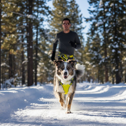 Ruffwear Omnijore Joring System – Komplettset für Canicross, Bikejöring &amp; Skijöring mit ergonomischem Zuggeschirr und elastischer Zugleine für aktive Hunde - Woofshack