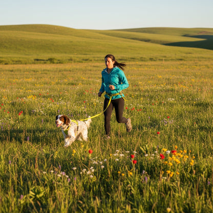 Ruffwear Omnijore Joring System – Komplettset für Canicross, Bikejöring &amp; Skijöring mit ergonomischem Zuggeschirr und elastischer Zugleine für aktive Hunde - Woofshack