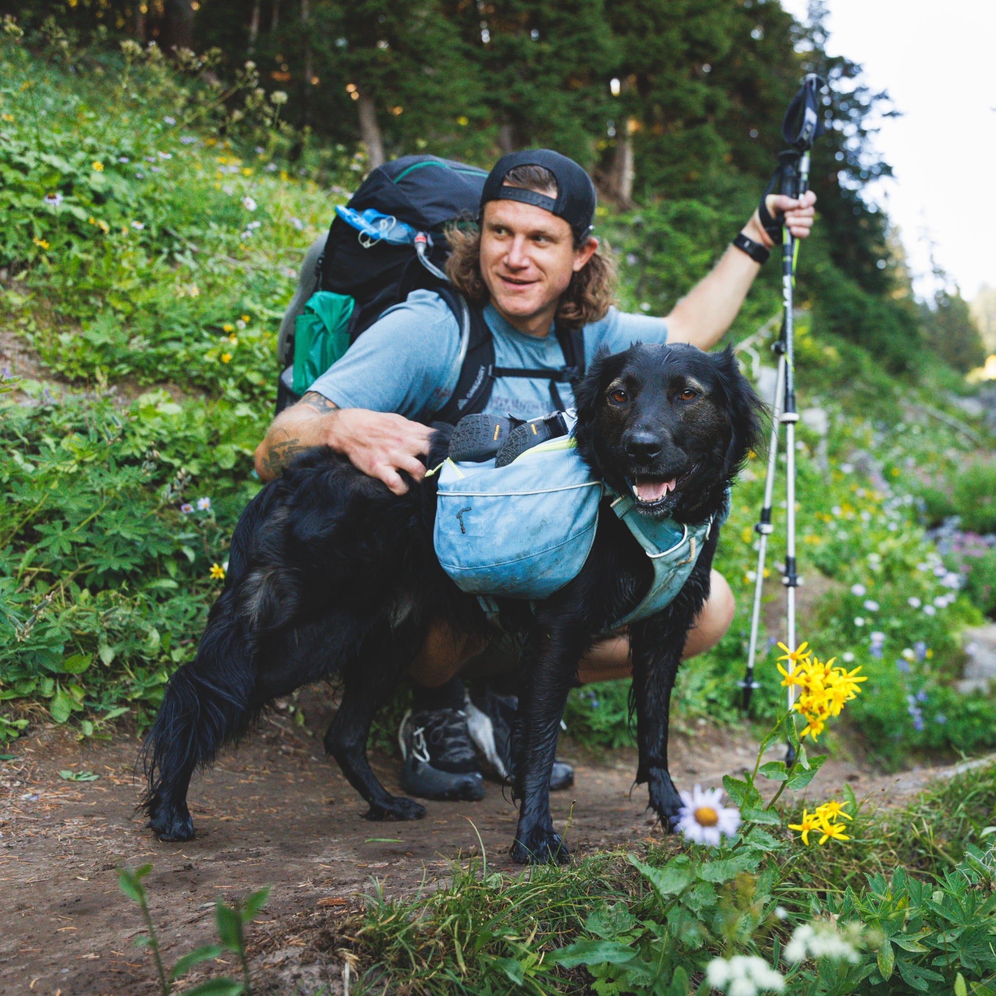 Ruffwear Palisades Pack – Premium Hunderucksack mit abnehmbaren Satteltaschen für Wanderungen &amp; Outdoor-Abenteuer