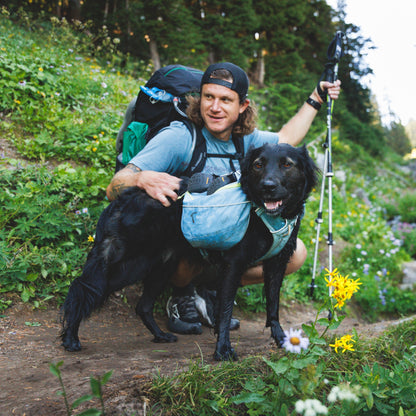 Ruffwear Palisades Pack – Premium Hunderucksack mit abnehmbaren Satteltaschen für Wanderungen &amp; Outdoor-Abenteuer