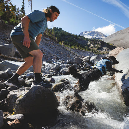 Ruffwear Palisades Pack – Premium Hunderucksack mit abnehmbaren Satteltaschen für Wanderungen &amp; Outdoor-Abenteuer