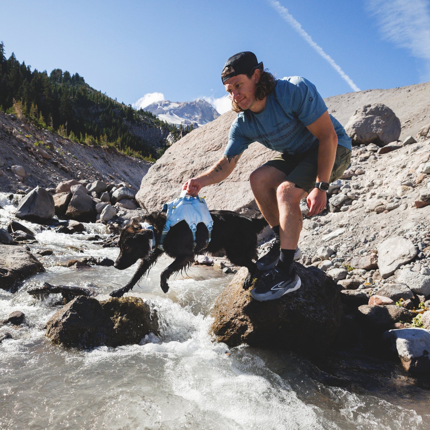 Ruffwear Palisades Pack – Premium Hunderucksack mit abnehmbaren Satteltaschen für Wanderungen &amp; Outdoor-Abenteuer
