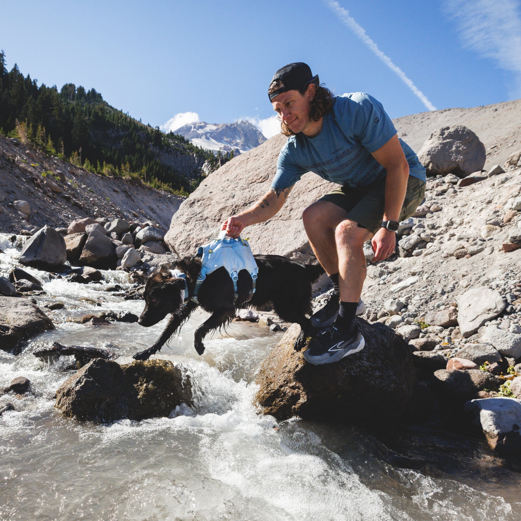Ruffwear Palisades Pack – Premium Hunderucksack mit abnehmbaren Satteltaschen für Wanderungen &amp; Outdoor-Abenteuer