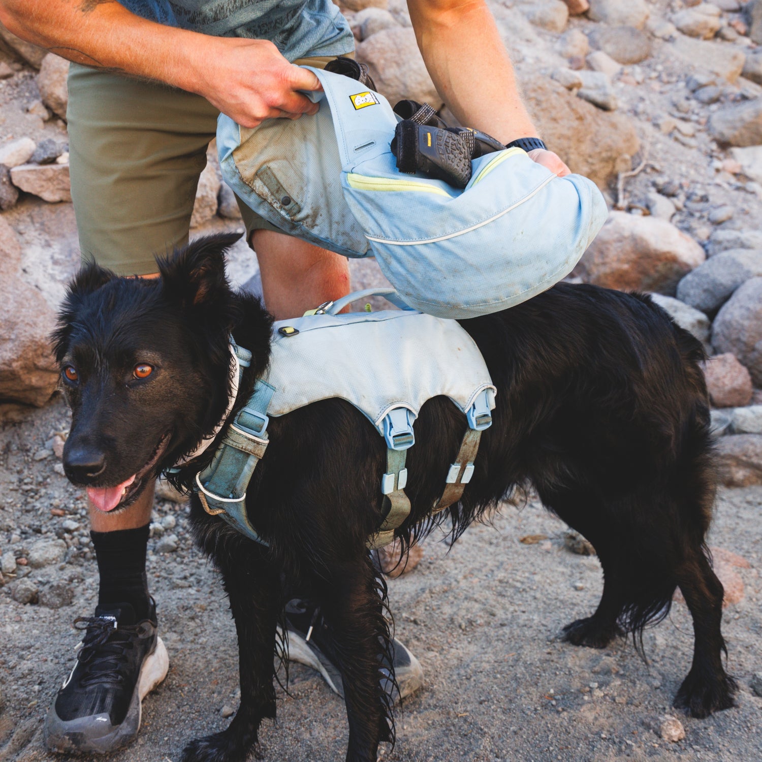 Ruffwear Palisades Pack – Premium Hunderucksack mit abnehmbaren Satteltaschen für Wanderungen &amp; Outdoor-Abenteuer