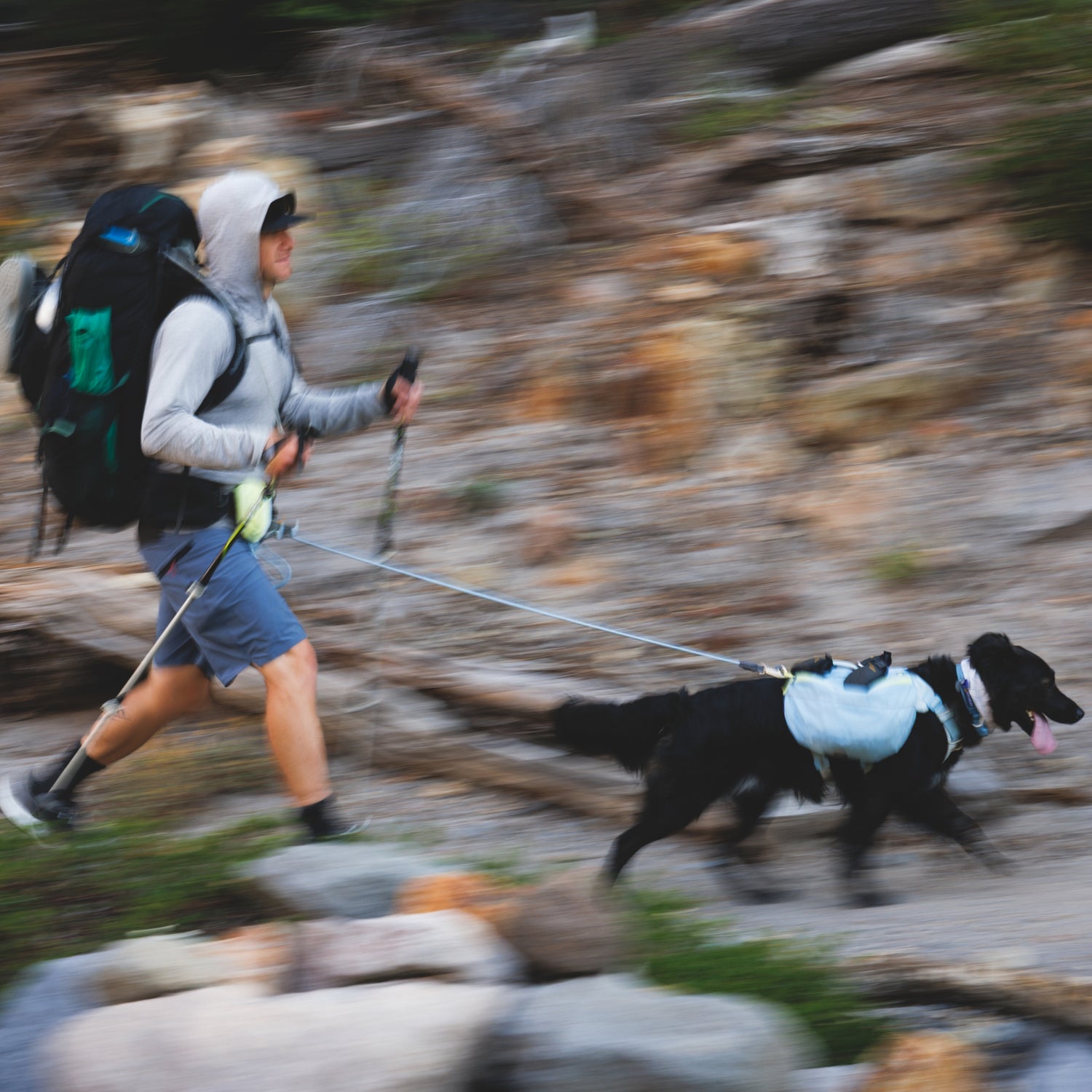 Ruffwear Palisades Pack – Premium Hunderucksack mit abnehmbaren Satteltaschen für Wanderungen &amp; Outdoor-Abenteuer