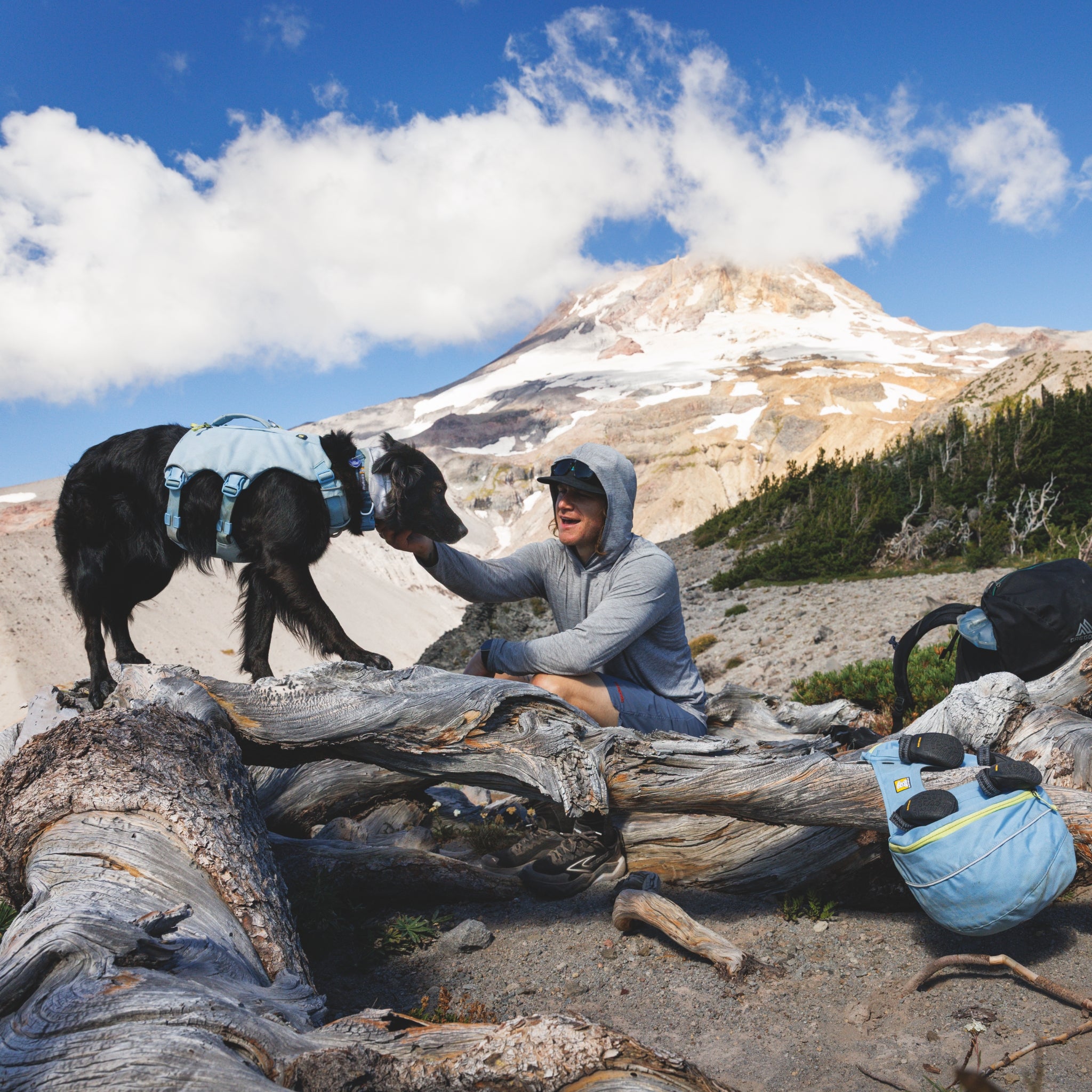 Ruffwear Palisades Pack – Premium Hunderucksack mit abnehmbaren Satteltaschen für Wanderungen &amp; Outdoor-Abenteuer