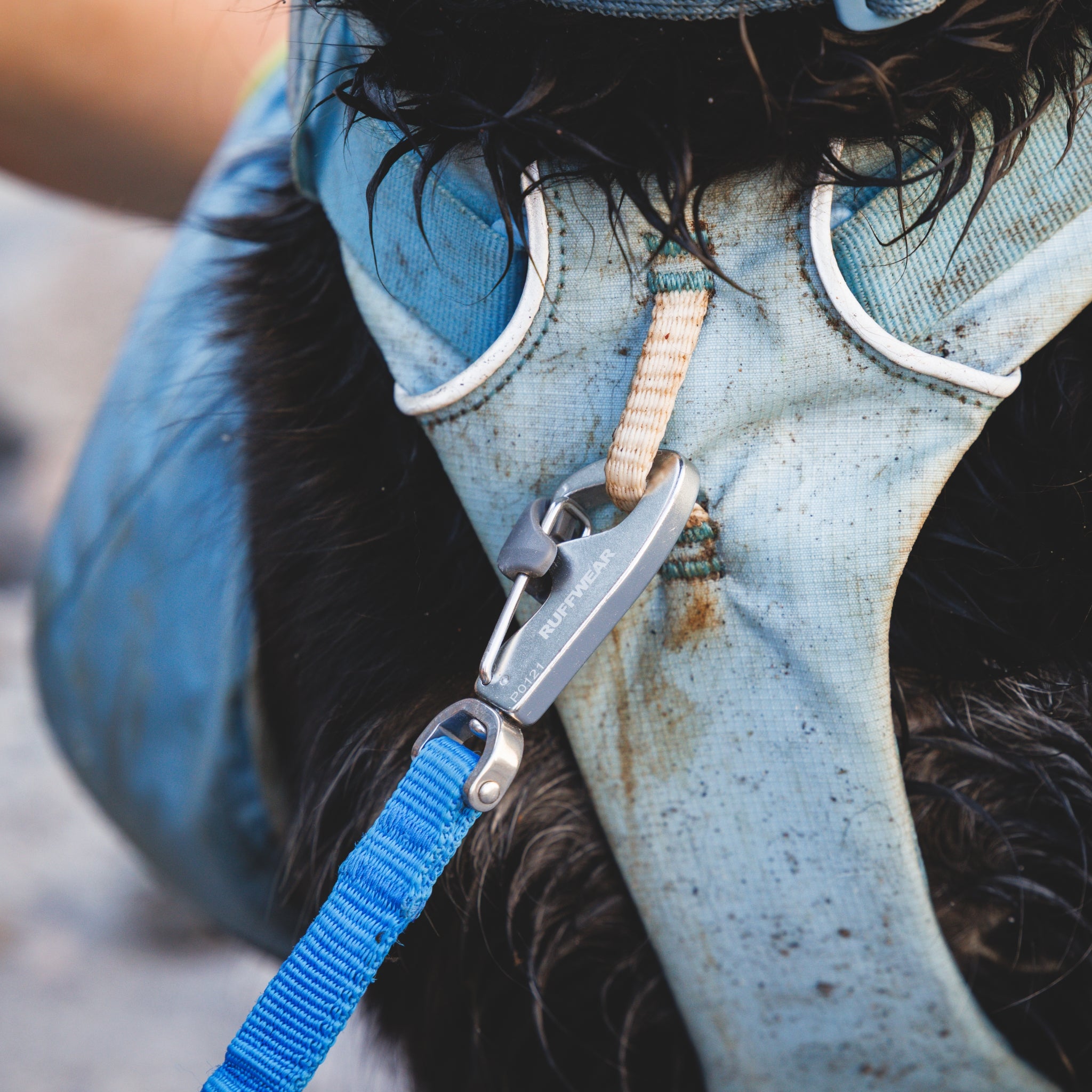 Ruffwear Palisades Pack – Premium Hunderucksack mit abnehmbaren Satteltaschen für Wanderungen &amp; Outdoor-Abenteuer