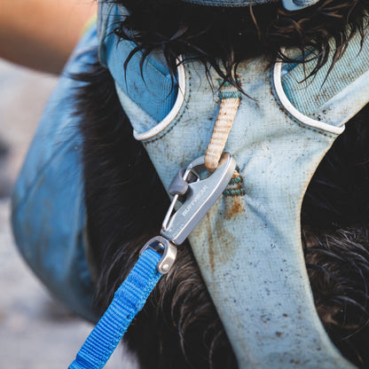 Ruffwear Palisades Pack – Premium Hunderucksack mit abnehmbaren Satteltaschen für Wanderungen &amp; Outdoor-Abenteuer