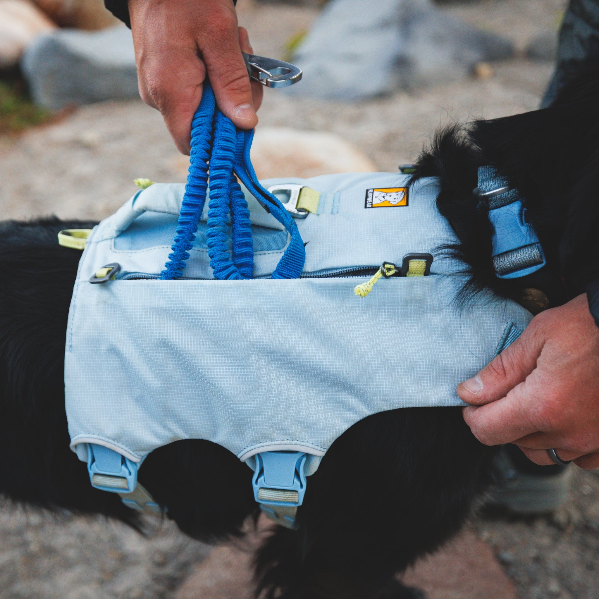 Ruffwear Palisades Pack – Premium Hunderucksack mit abnehmbaren Satteltaschen für Wanderungen &amp; Outdoor-Abenteuer