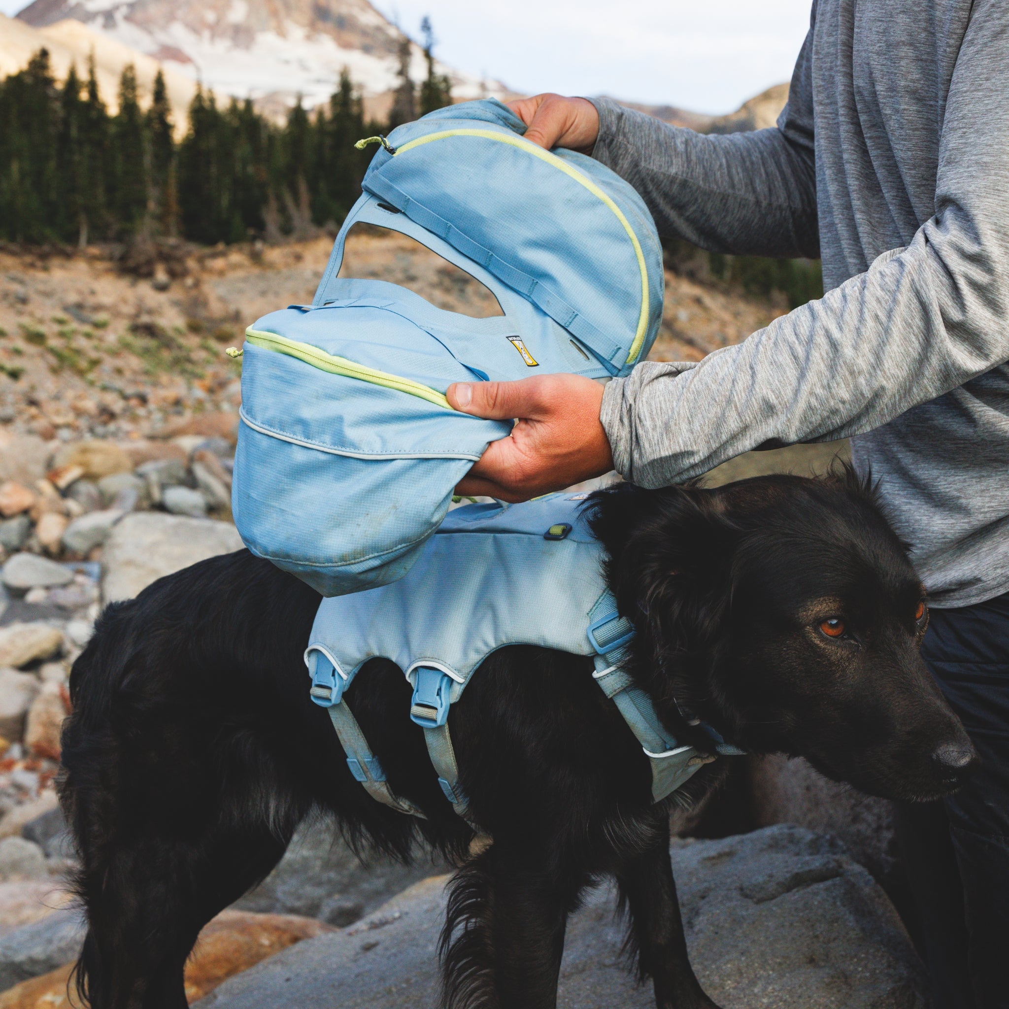 Ruffwear Palisades Pack – Premium Hunderucksack mit abnehmbaren Satteltaschen für Wanderungen &amp; Outdoor-Abenteuer