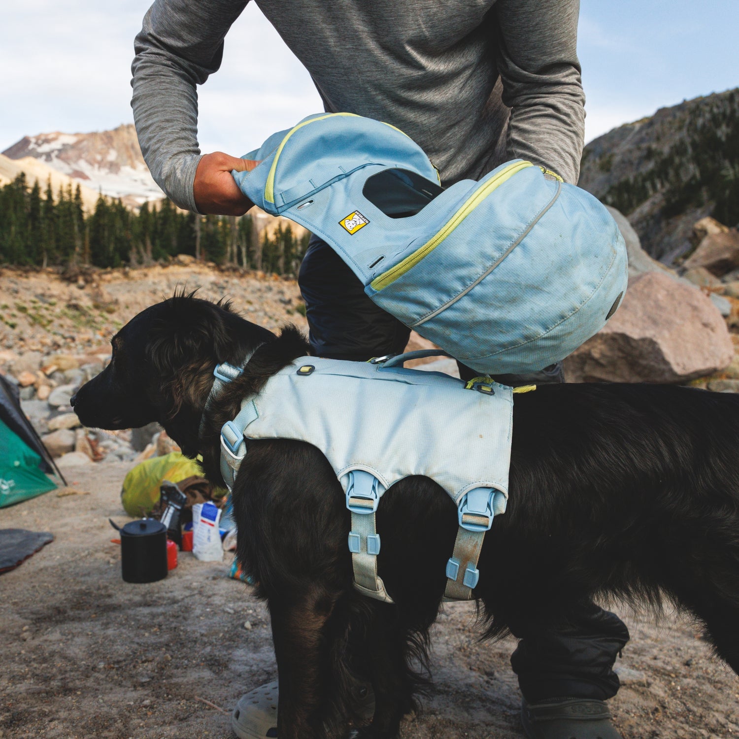 Ruffwear Palisades Pack – Premium Hunderucksack mit abnehmbaren Satteltaschen für Wanderungen &amp; Outdoor-Abenteuer