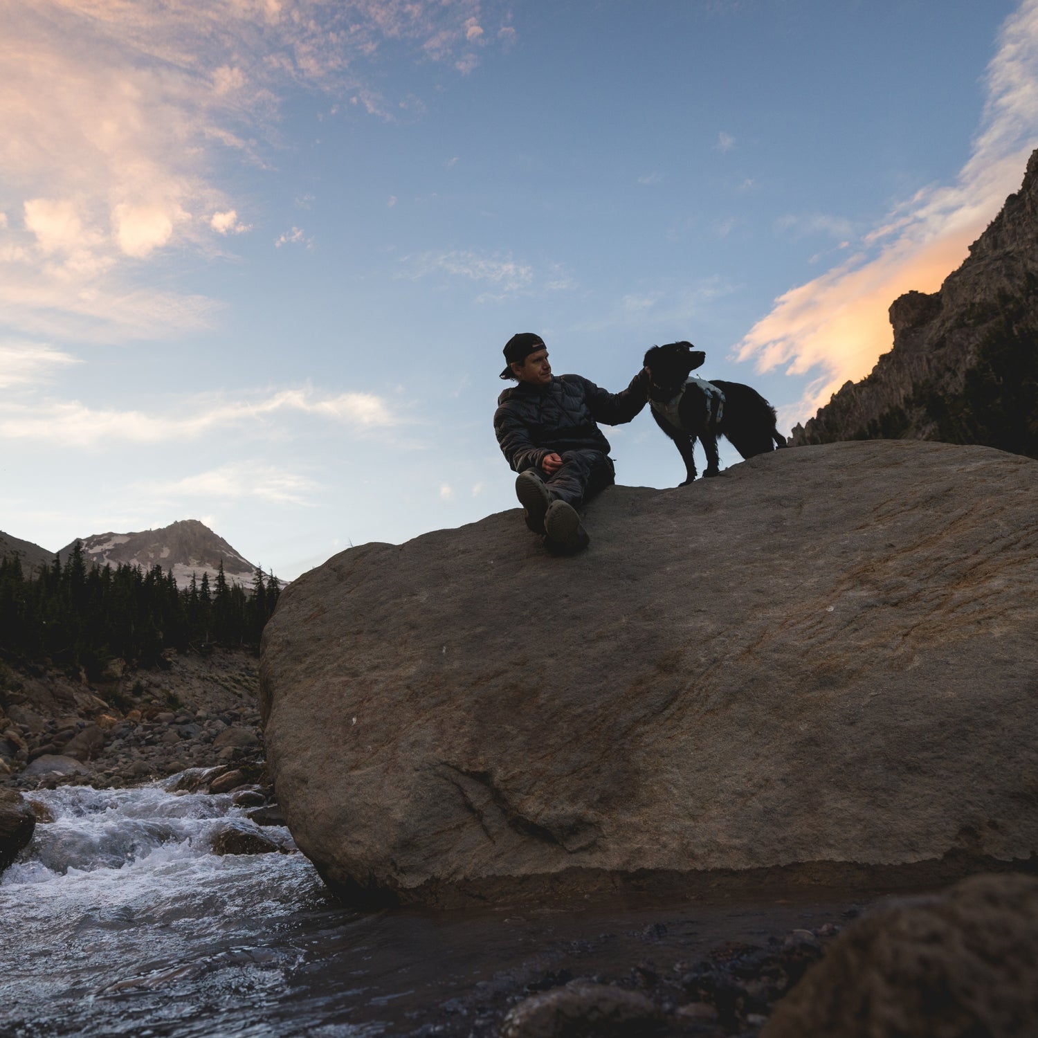 Ruffwear Palisades Pack – Premium Hunderucksack mit abnehmbaren Satteltaschen für Wanderungen &amp; Outdoor-Abenteuer