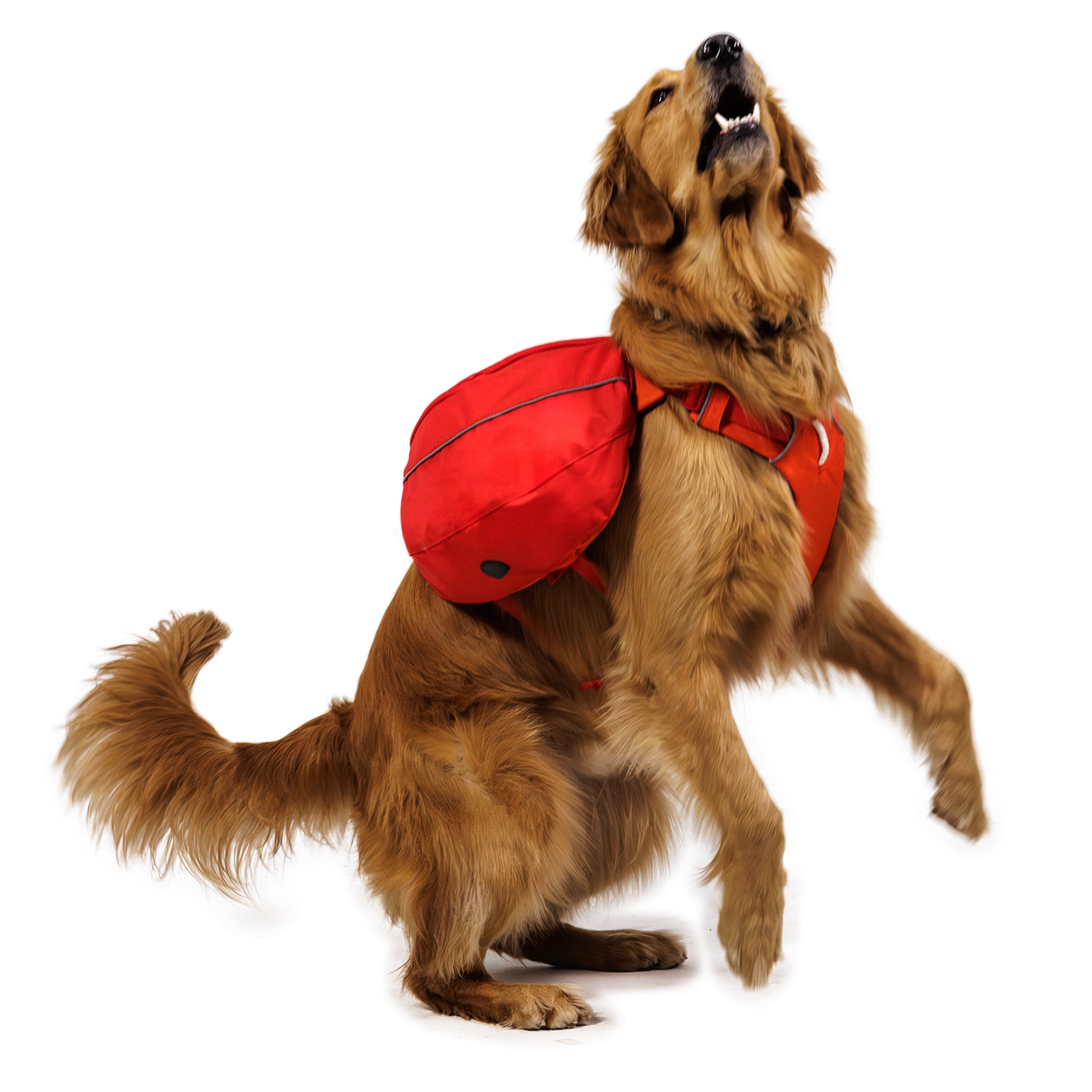 Ruffwear Palisades Pack – Premium Hunderucksack mit abnehmbaren Satteltaschen für Wanderungen &amp; Outdoor-Abenteuer
