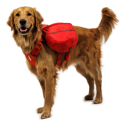 Ruffwear Palisades Pack – Premium Hunderucksack mit abnehmbaren Satteltaschen für Wanderungen &amp; Outdoor-Abenteuer