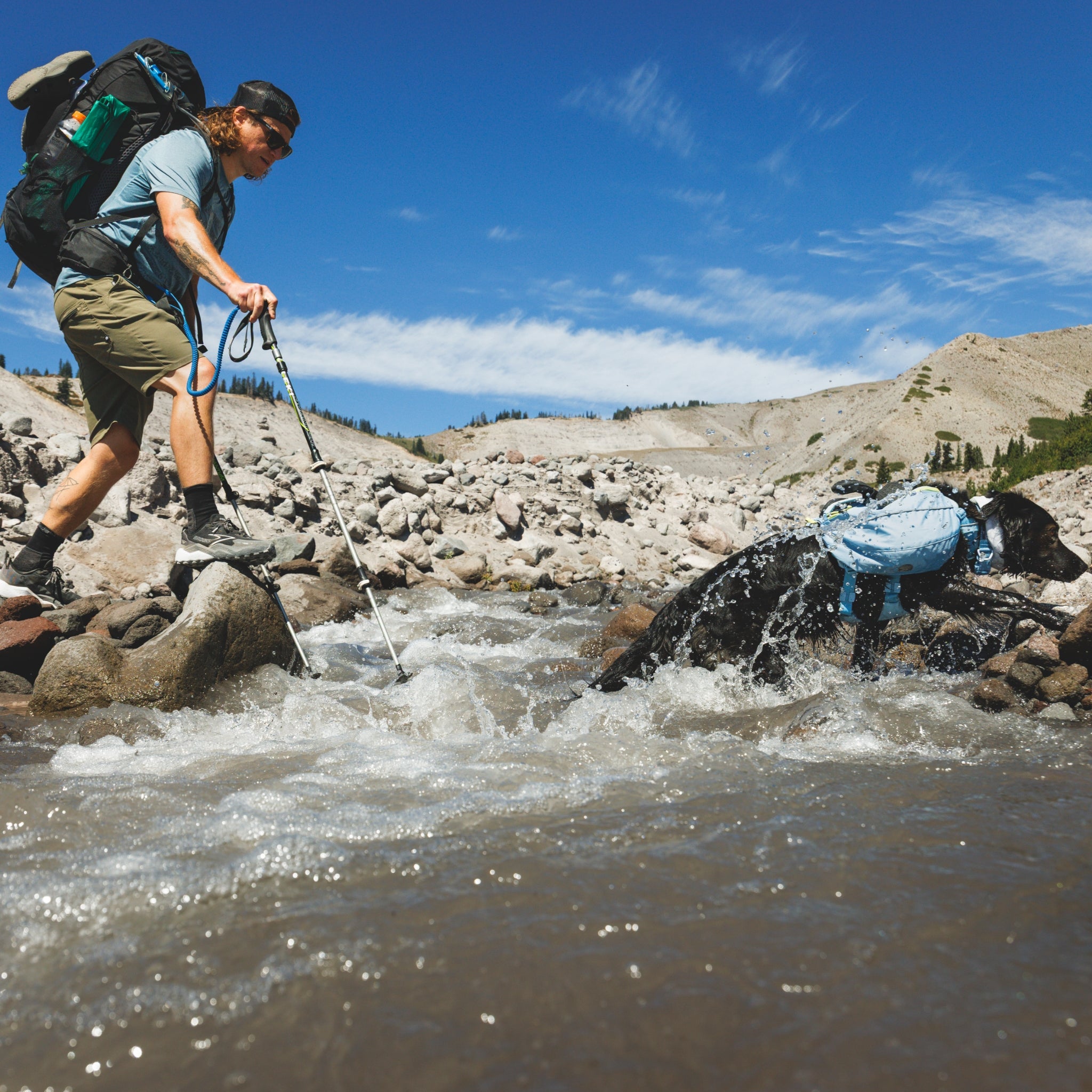 Ruffwear Palisades Pack – Premium Hunderucksack mit abnehmbaren Satteltaschen für Wanderungen &amp; Outdoor-Abenteuer