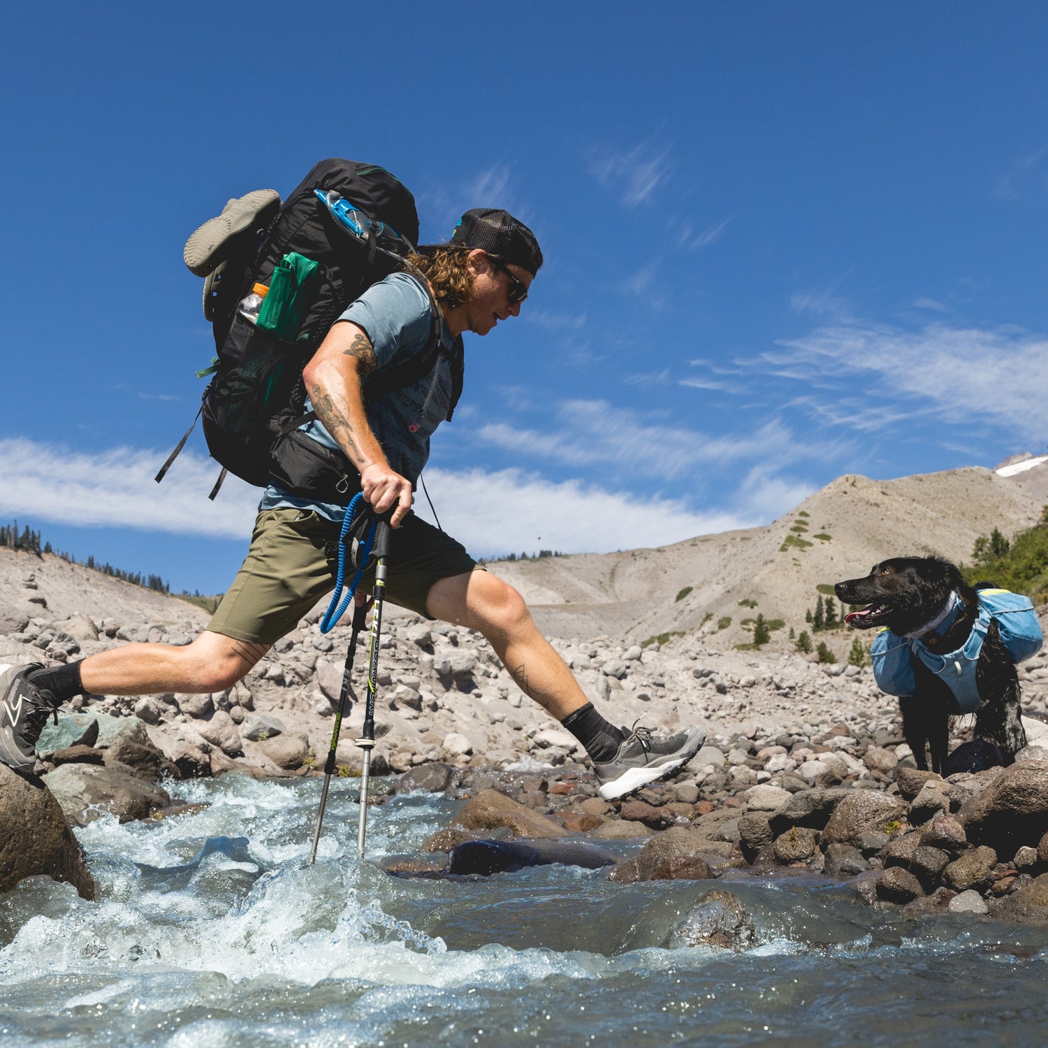 Ruffwear Palisades Pack – Premium Hunderucksack mit abnehmbaren Satteltaschen für Wanderungen &amp; Outdoor-Abenteuer