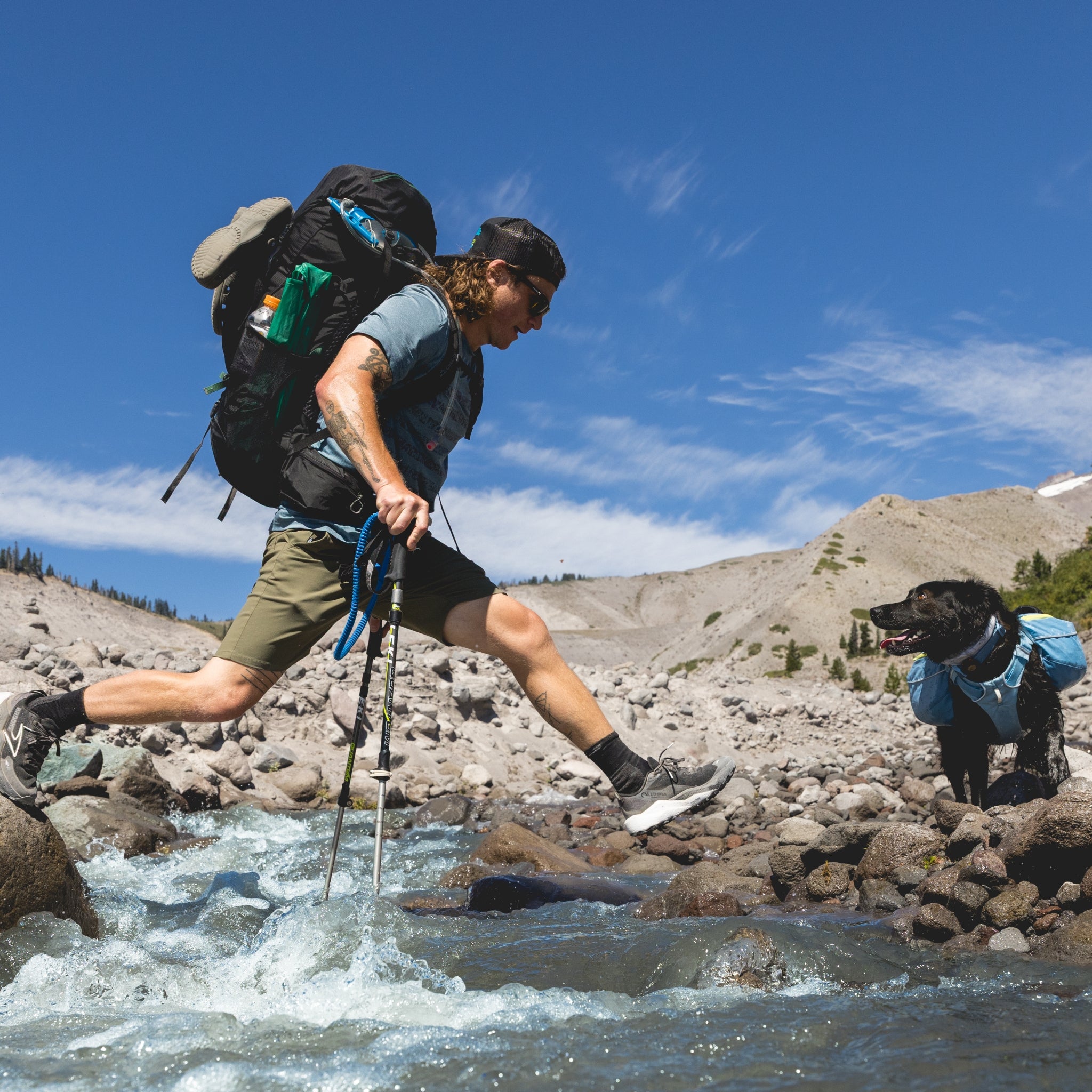 Ruffwear Palisades Pack – Premium Hunderucksack mit abnehmbaren Satteltaschen für Wanderungen &amp; Outdoor-Abenteuer