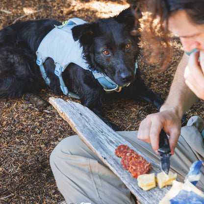 Ruffwear Palisades Pack – Premium Hunderucksack mit abnehmbaren Satteltaschen für Wanderungen &amp; Outdoor-Abenteuer