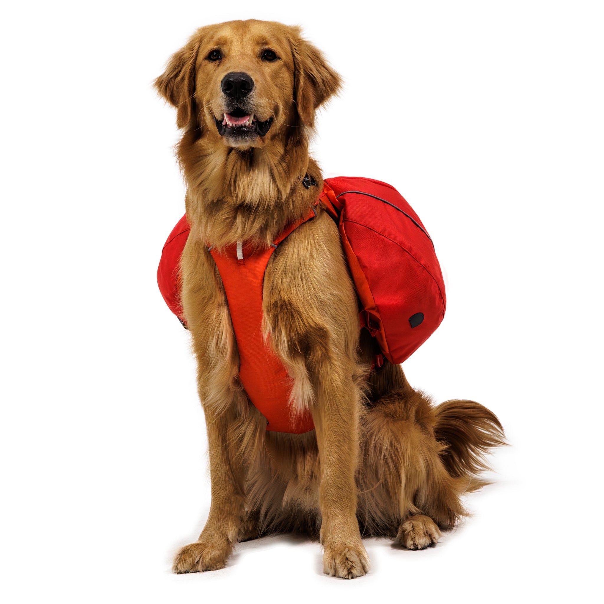 Ruffwear Palisades Pack – Premium Hunderucksack mit abnehmbaren Satteltaschen für Wanderungen &amp; Outdoor - Abenteuer - Woofshack