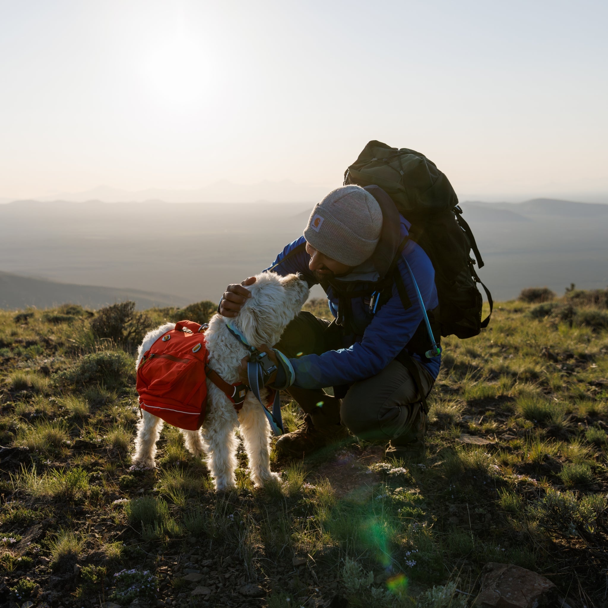 Ruffwear Palisades Pack – Premium Hunderucksack mit abnehmbaren Satteltaschen für Wanderungen &amp; Outdoor - Abenteuer - Woofshack