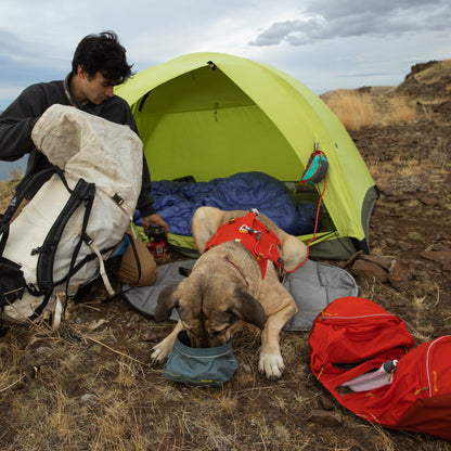 Ruffwear Palisades Pack – Premium Hunderucksack mit abnehmbaren Satteltaschen für Wanderungen &amp; Outdoor - Abenteuer - Woofshack