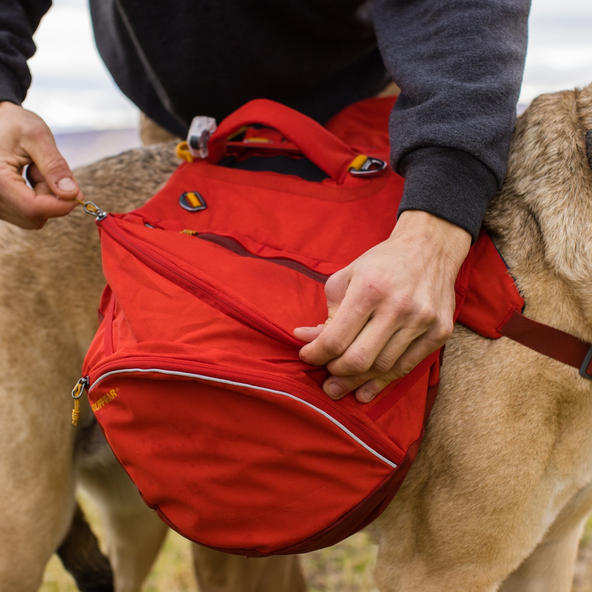 Ruffwear Palisades Pack – Premium Hunderucksack mit abnehmbaren Satteltaschen für Wanderungen &amp; Outdoor - Abenteuer - Woofshack