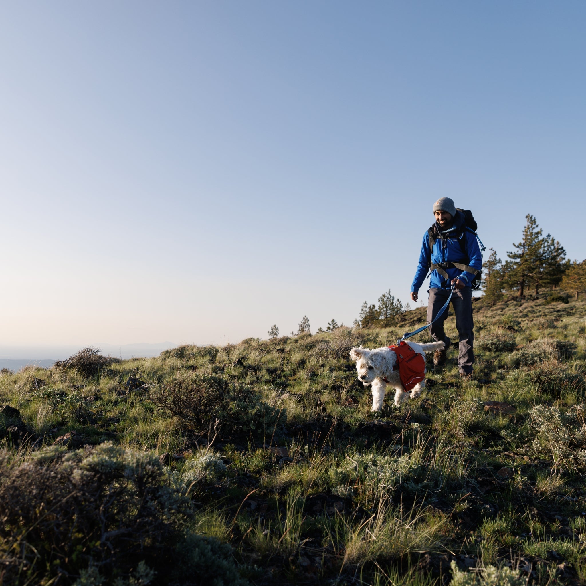 Ruffwear Palisades Pack – Premium Hunderucksack mit abnehmbaren Satteltaschen für Wanderungen &amp; Outdoor - Abenteuer - Woofshack
