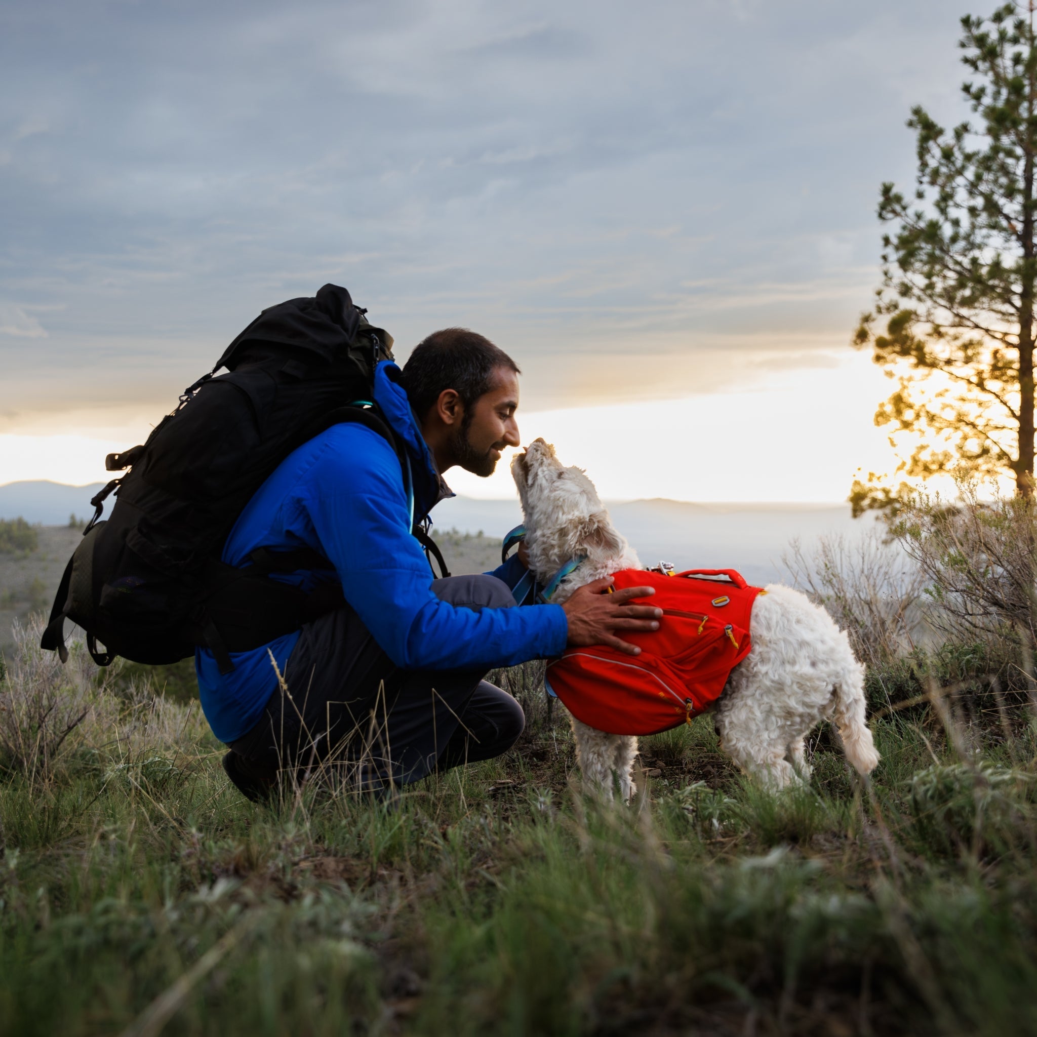 Ruffwear Palisades Pack – Premium Hunderucksack mit abnehmbaren Satteltaschen für Wanderungen &amp; Outdoor - Abenteuer - Woofshack
