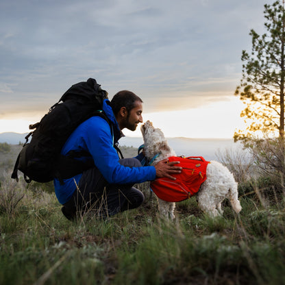 Ruffwear Palisades Pack – Premium Hunderucksack mit abnehmbaren Satteltaschen für Wanderungen &amp; Outdoor - Abenteuer - Woofshack
