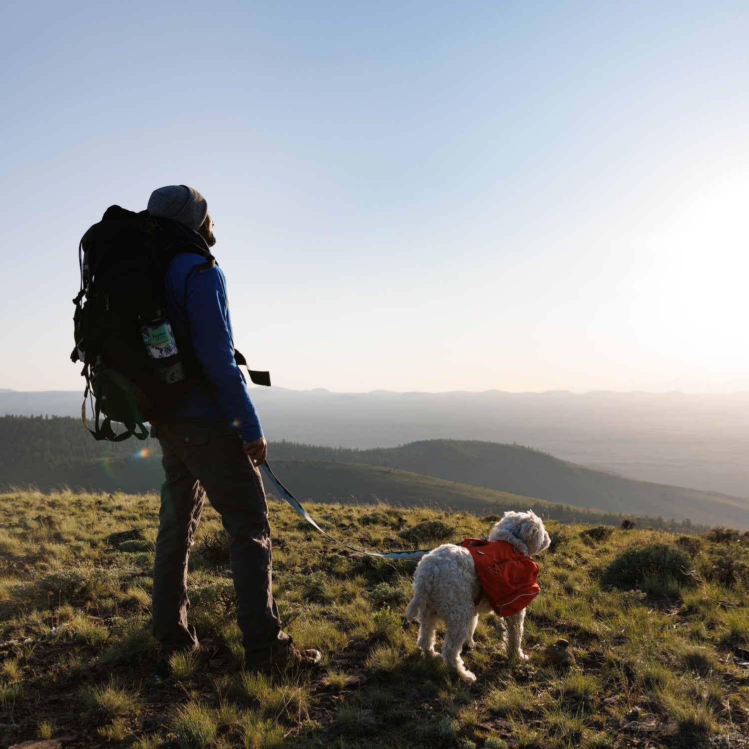 Ruffwear Palisades Pack – Premium Hunderucksack mit abnehmbaren Satteltaschen für Wanderungen &amp; Outdoor - Abenteuer - Woofshack