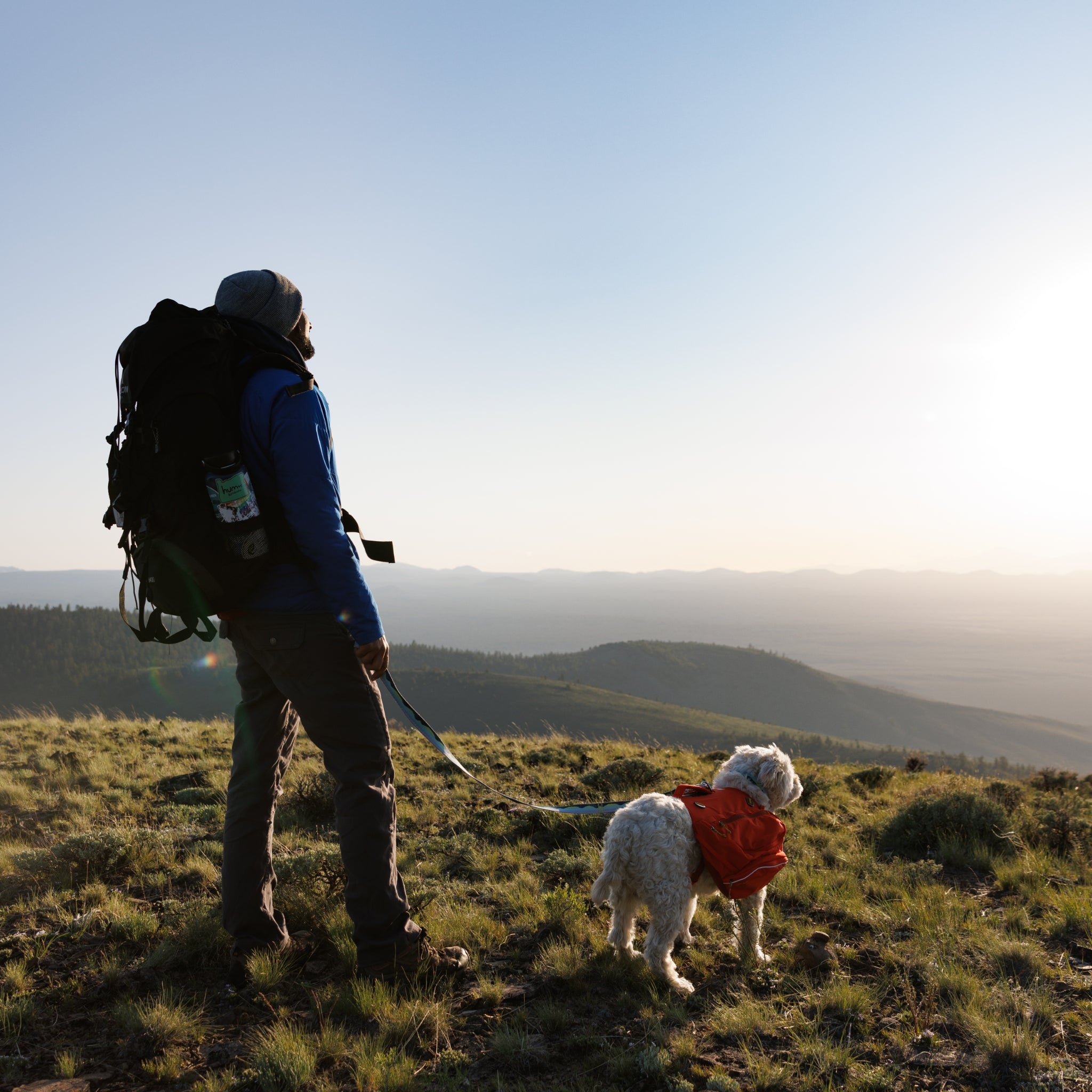 Ruffwear Palisades Pack – Premium Hunderucksack mit abnehmbaren Satteltaschen für Wanderungen &amp; Outdoor - Abenteuer - Woofshack