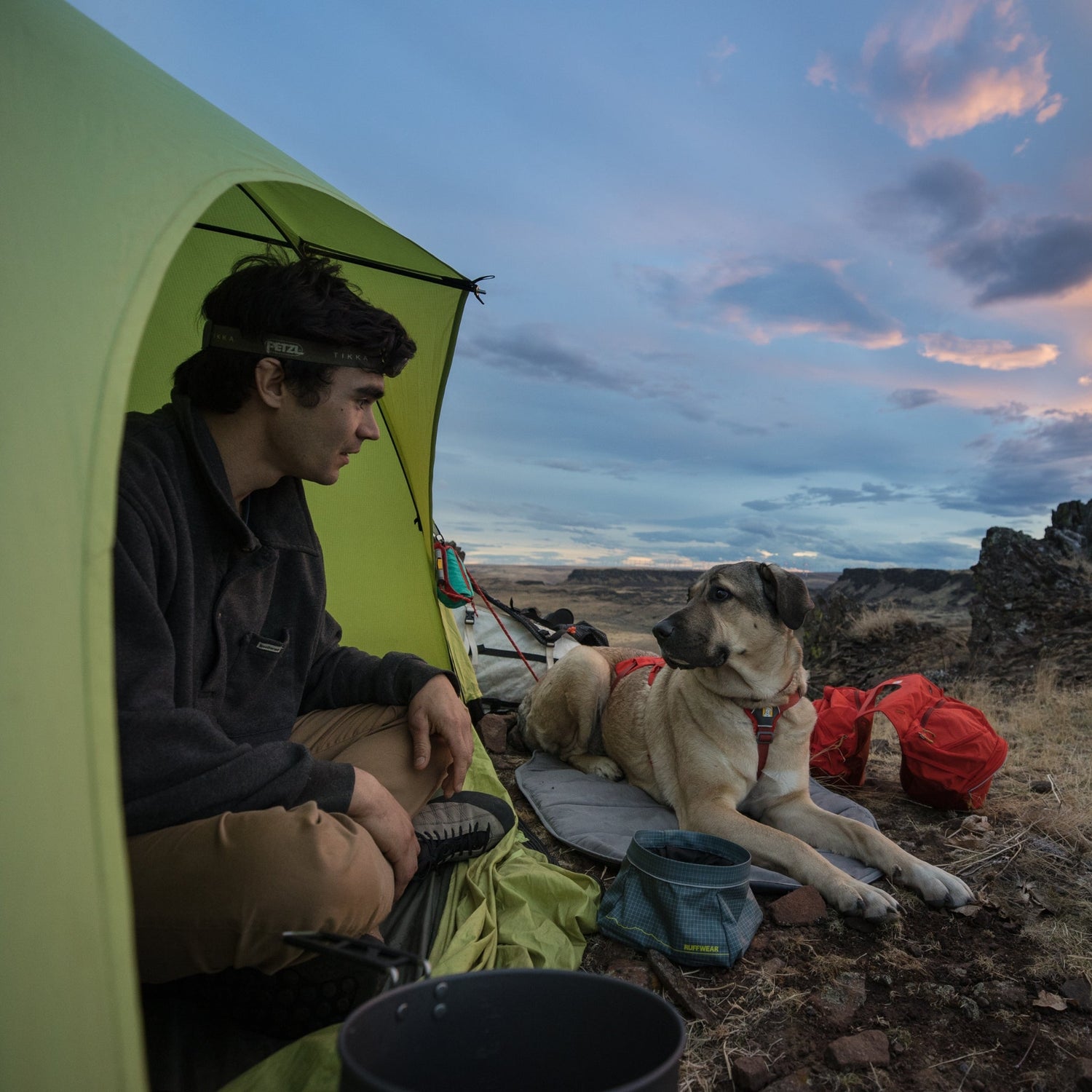 Ruffwear Palisades Pack – Premium Hunderucksack mit abnehmbaren Satteltaschen für Wanderungen &amp; Outdoor - Abenteuer - Woofshack