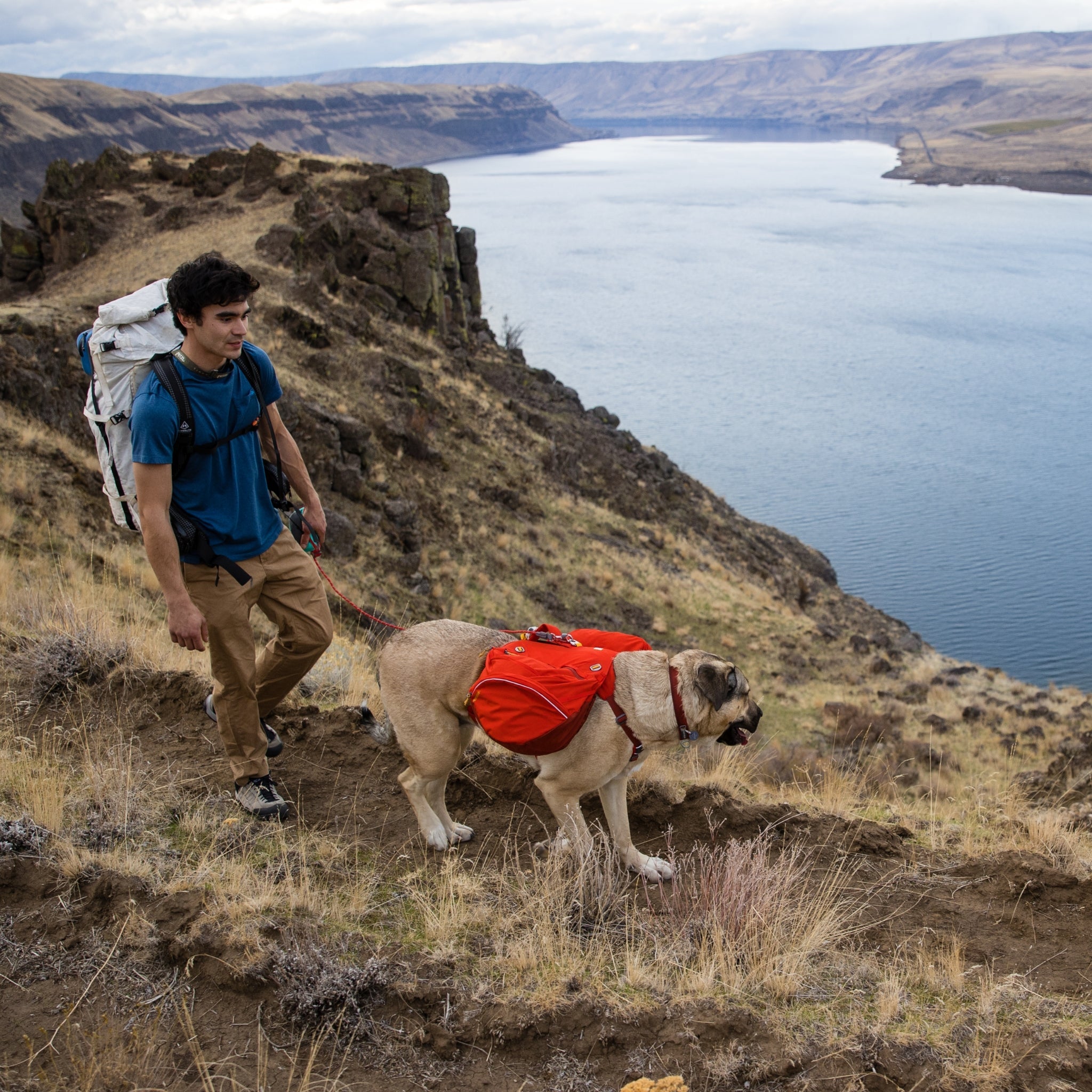 Ruffwear Palisades Pack – Premium Hunderucksack mit abnehmbaren Satteltaschen für Wanderungen &amp; Outdoor - Abenteuer - Woofshack