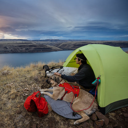 Ruffwear Palisades Pack – Premium Hunderucksack mit abnehmbaren Satteltaschen für Wanderungen &amp; Outdoor - Abenteuer - Woofshack