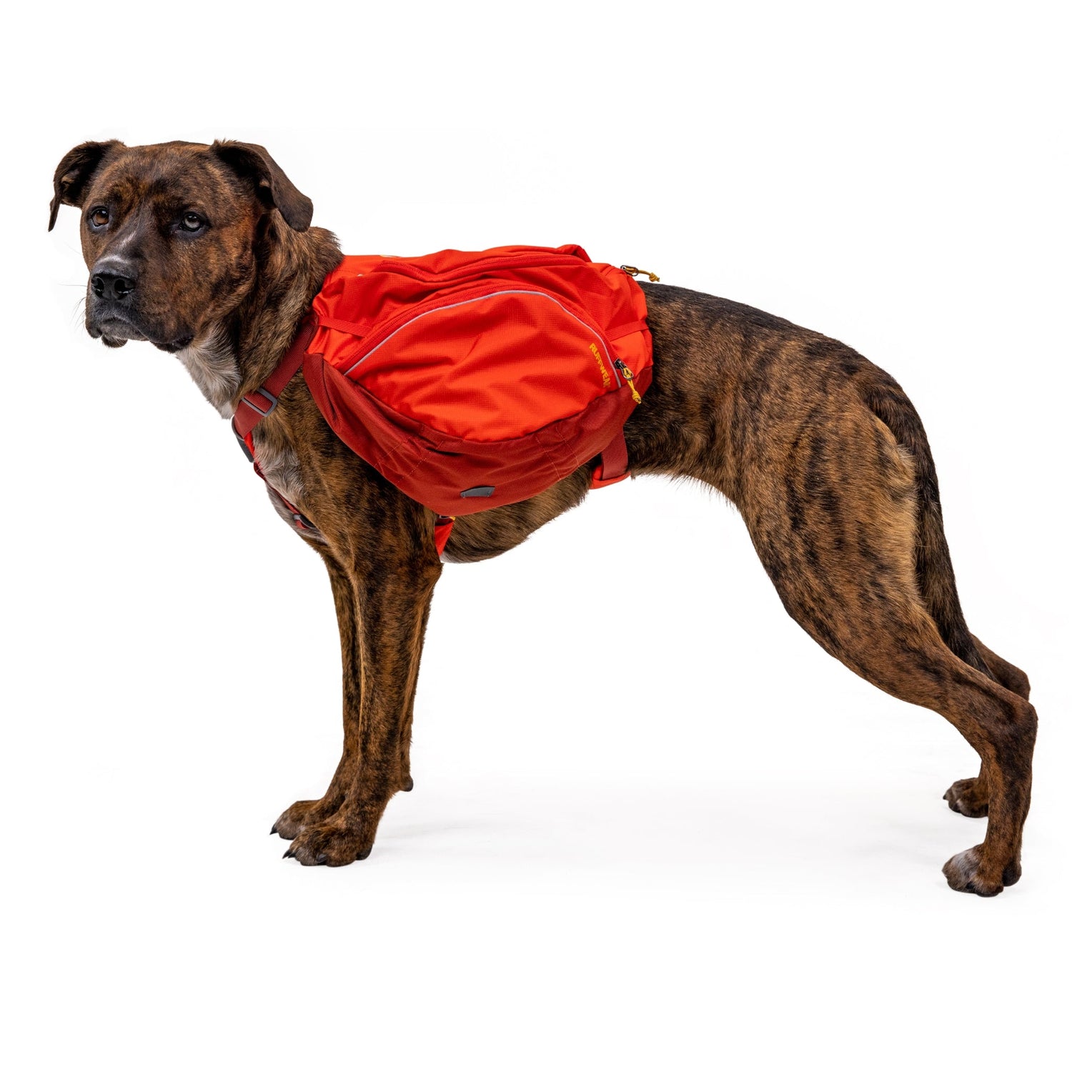 Ruffwear Palisades Pack – Premium Hunderucksack mit abnehmbaren Satteltaschen für Wanderungen &amp; Outdoor - Abenteuer - Woofshack