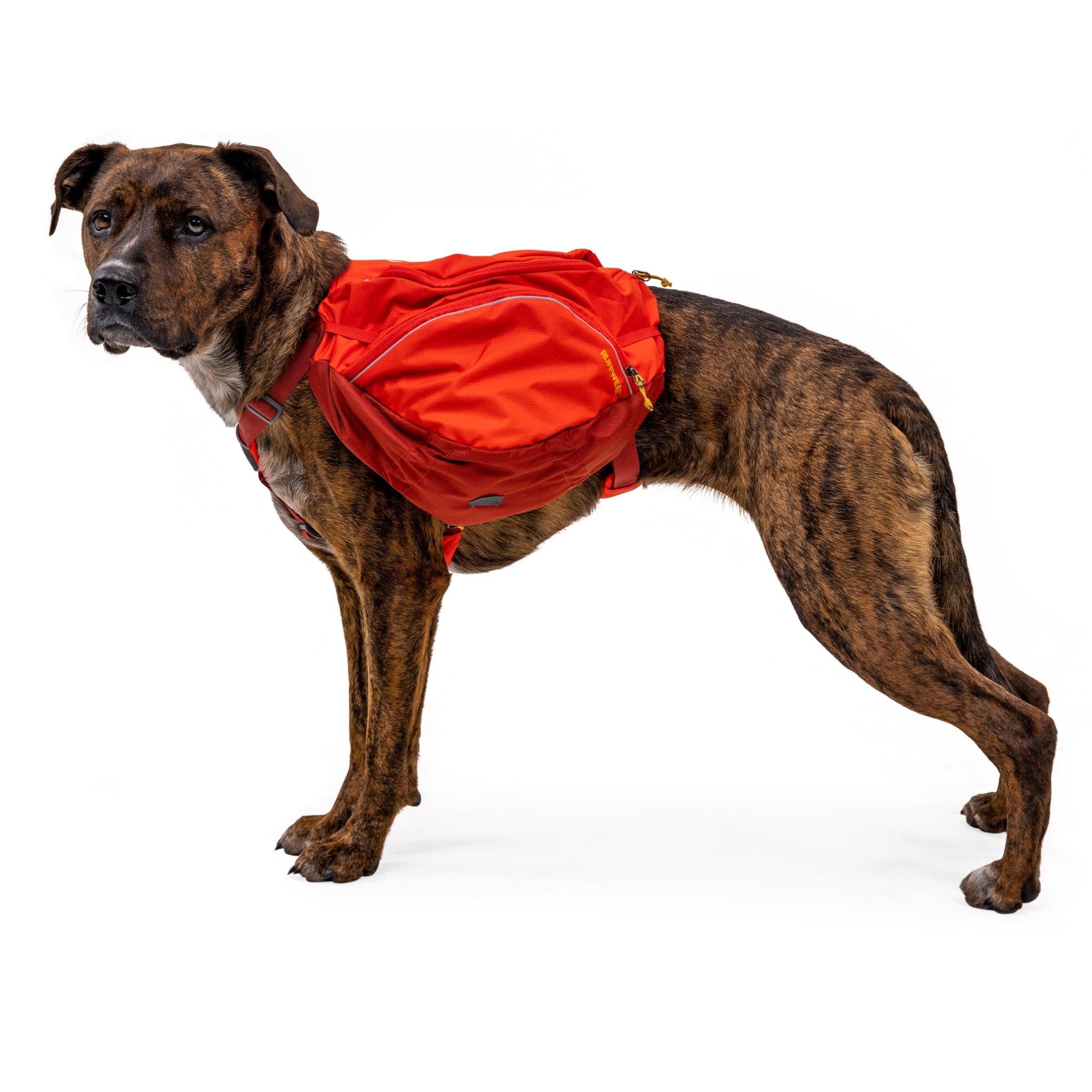 Ruffwear Palisades Pack – Premium Hunderucksack mit abnehmbaren Satteltaschen für Wanderungen &amp; Outdoor - Abenteuer - Woofshack