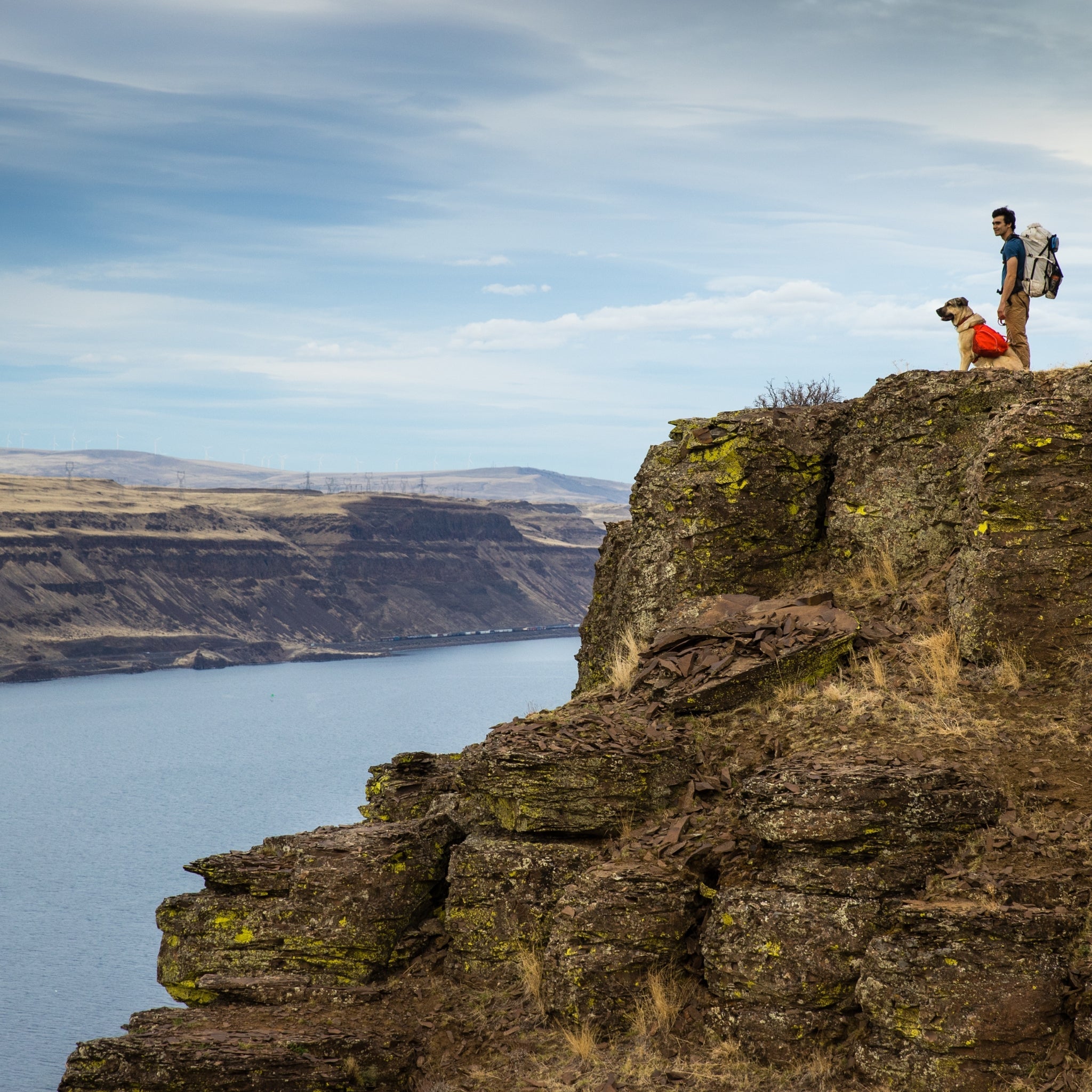 Ruffwear Palisades Pack – Premium Hunderucksack mit abnehmbaren Satteltaschen für Wanderungen &amp; Outdoor - Abenteuer - Woofshack