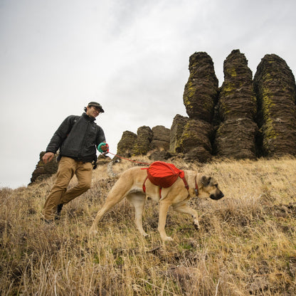 Ruffwear Palisades Pack – Premium Hunderucksack mit abnehmbaren Satteltaschen für Wanderungen &amp; Outdoor - Abenteuer - Woofshack