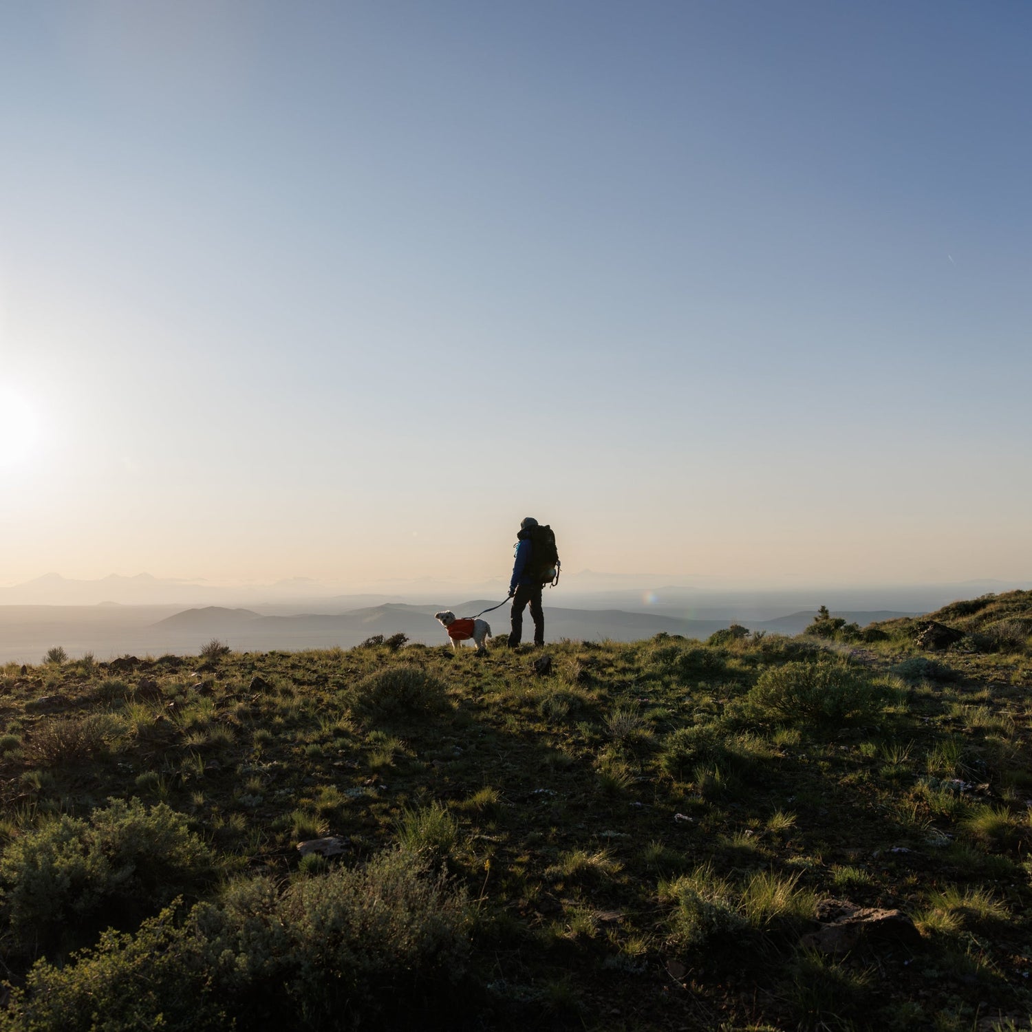 Ruffwear Palisades Pack – Premium Hunderucksack mit abnehmbaren Satteltaschen für Wanderungen &amp; Outdoor - Abenteuer - Woofshack