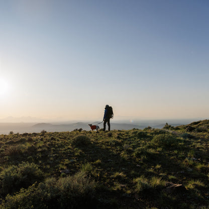 Ruffwear Palisades Pack – Premium Hunderucksack mit abnehmbaren Satteltaschen für Wanderungen &amp; Outdoor - Abenteuer - Woofshack