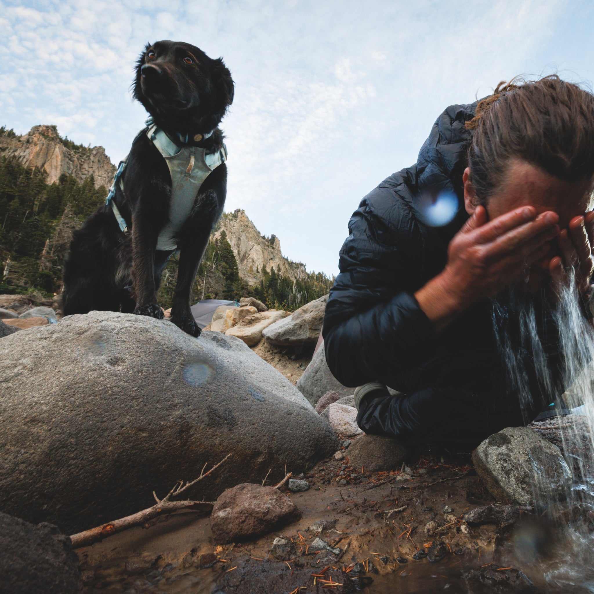 Ruffwear Palisades Pack – Premium Hunderucksack mit abnehmbaren Satteltaschen für Wanderungen &amp; Outdoor - Abenteuer - Woofshack
