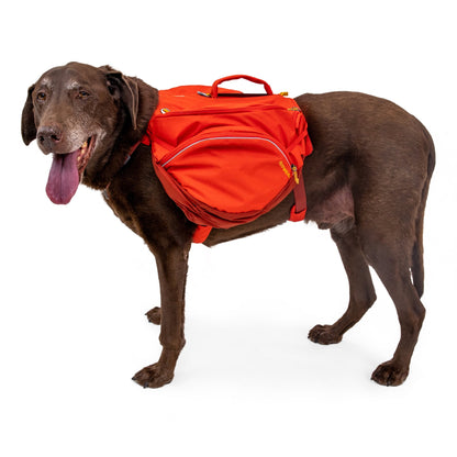 Ruffwear Palisades Pack – Premium Hunderucksack mit abnehmbaren Satteltaschen für Wanderungen &amp; Outdoor - Abenteuer - Woofshack
